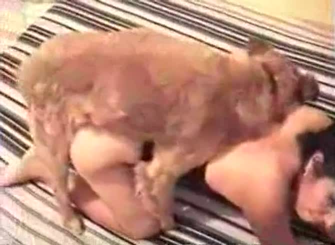 Video :Lady's pussy got fucked with a dog dick